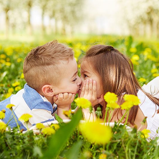 Mesa Dental Group -